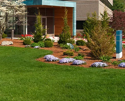 Landscaping installation with shrubs, flowers, and mulch in Des Moines, IA.