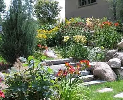 Des Moines landscape beds with lush plants benefiting from organic products used by A+ Lawn & Landscape.