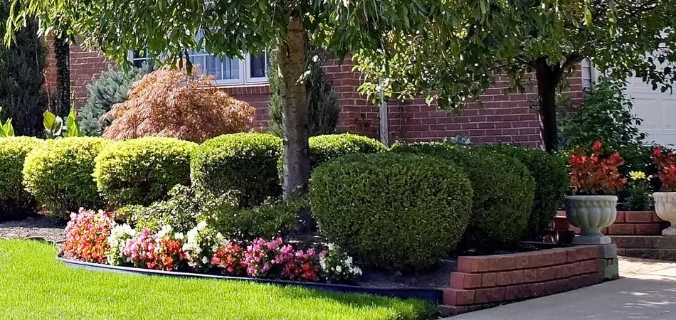 Professionally trimmed and planted landscaping at a home in Grimes, IA.