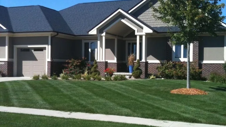Residential lawn that receives regular fertilization and weed control services by our professional lawn care technicians.