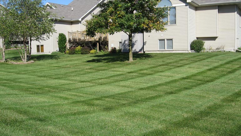 residential lawn maintenance