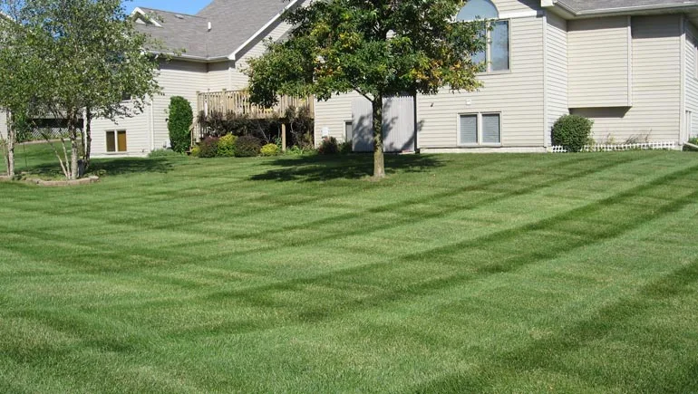  Residential lawn mowed and maintained by our team at A+ Lawn & Landscape.