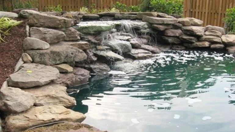 Water feature with a pond and a waterfall at a home in Des Moines, IA.
