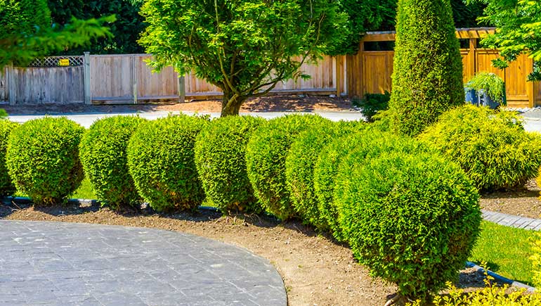 ankeny landscaping