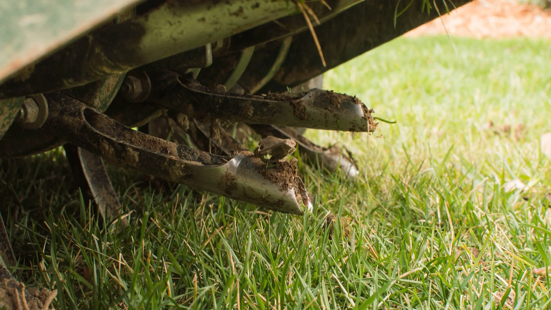 Does It Take a While for Core Aeration to Improve Your Lawn?