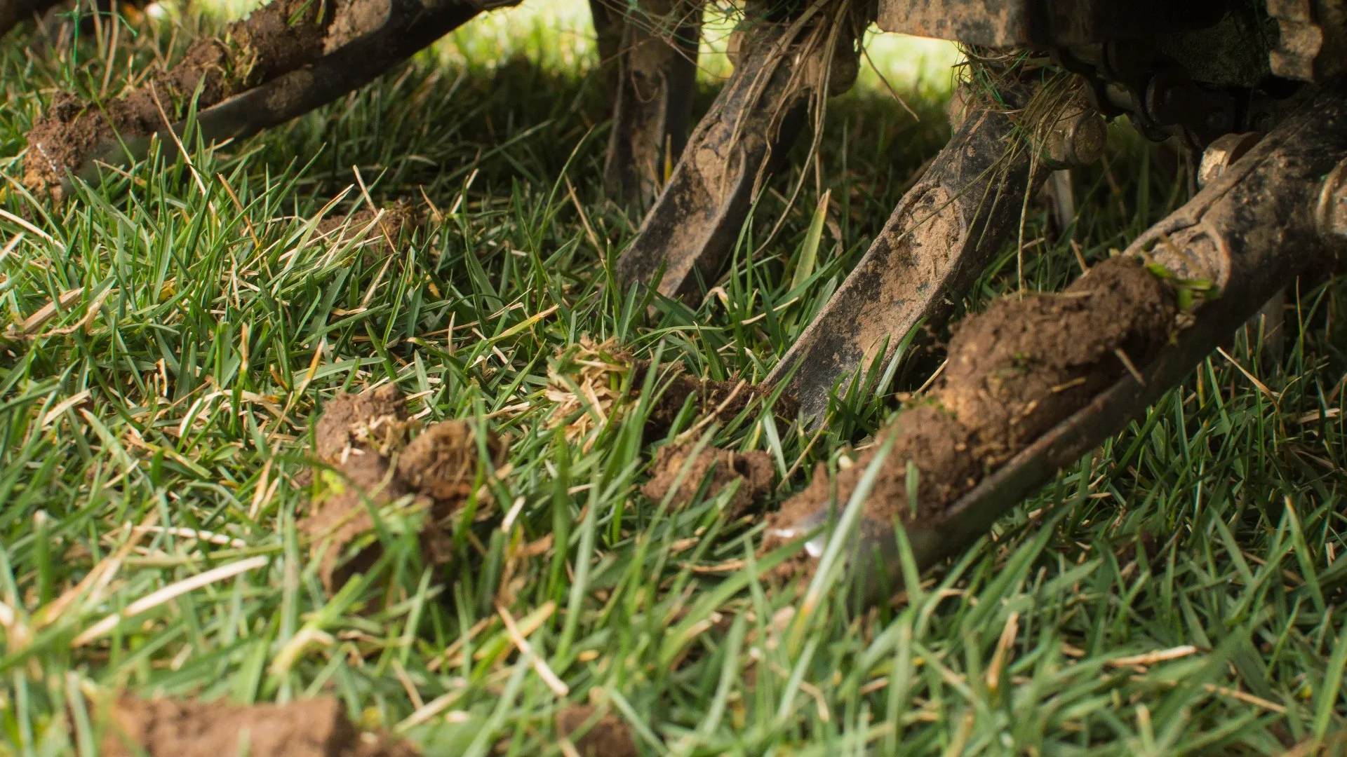 How to Get Your Lawn Ready for Core Aeration