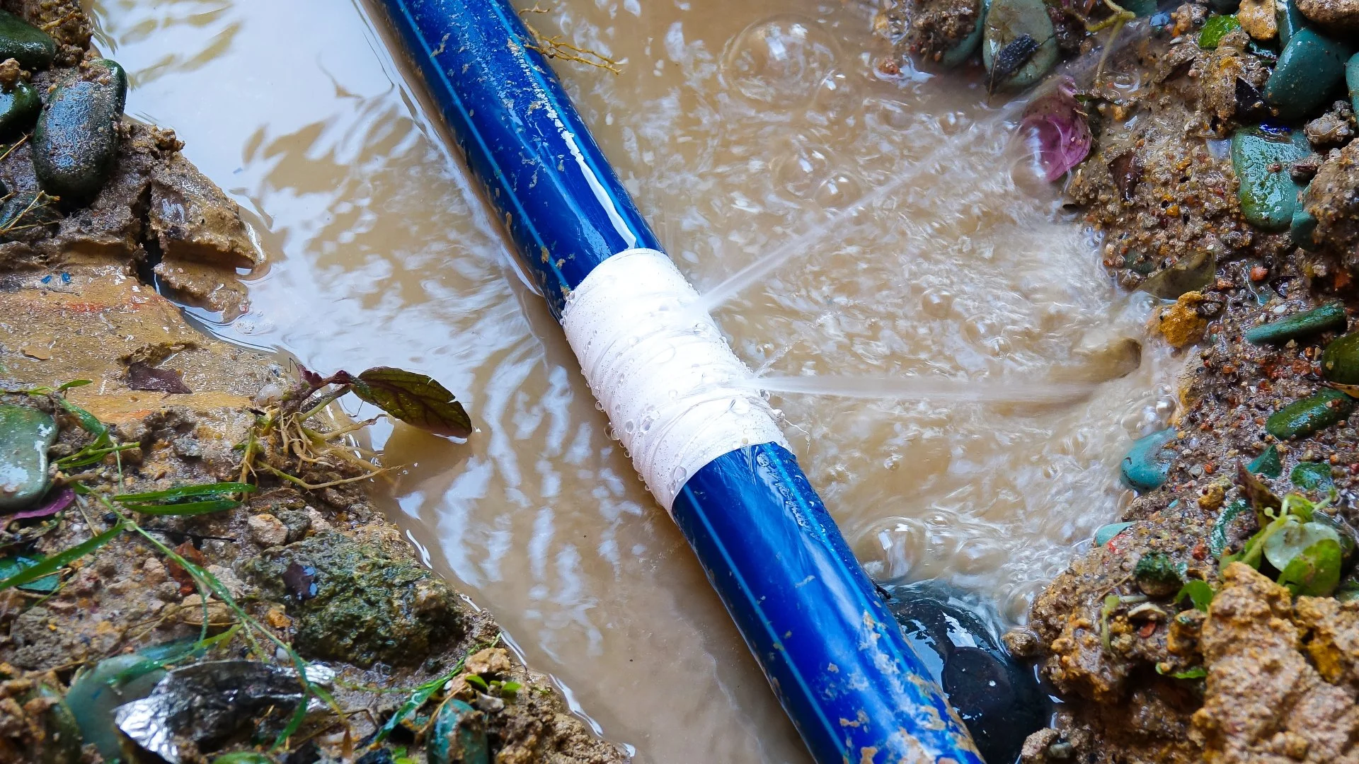 Is Your Irrigation System Leaking? Look Out for These Signs