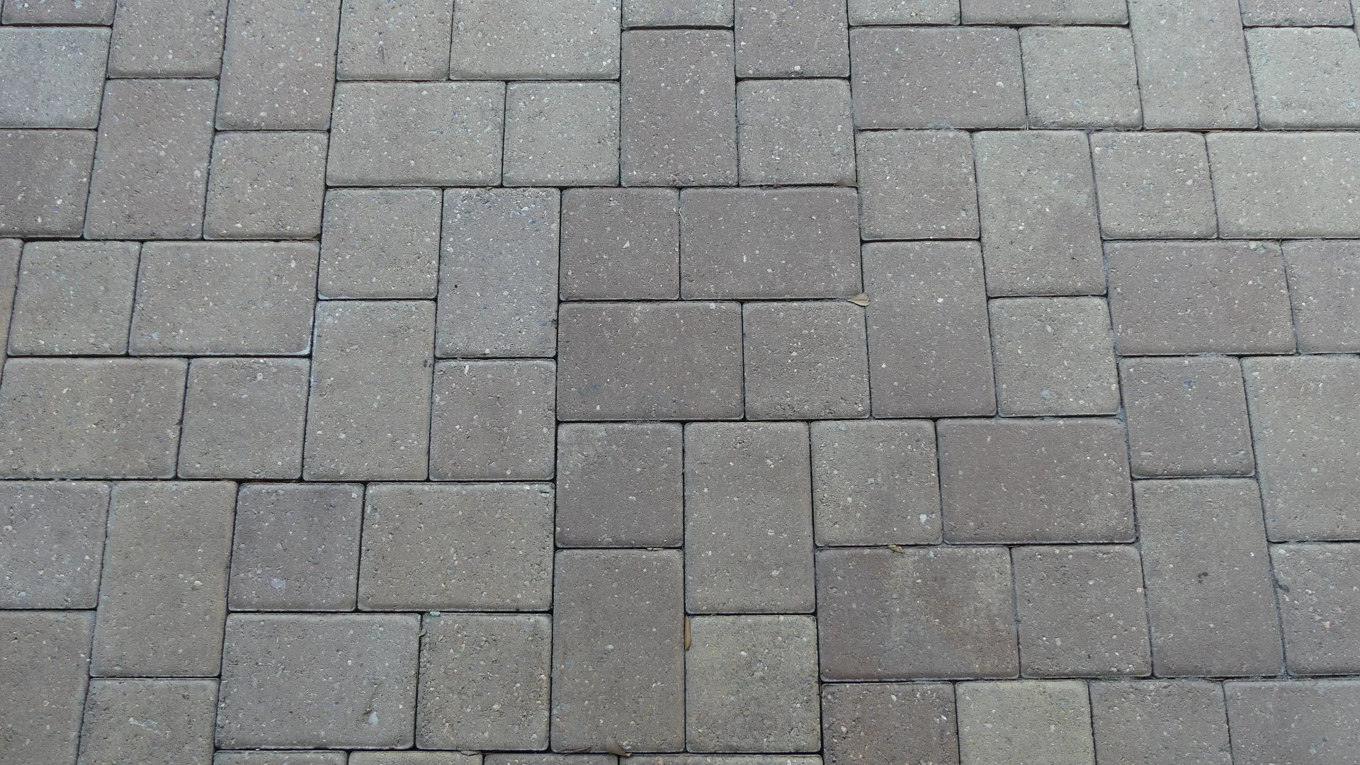 Pavers Are an Excellent Material to Use for Your New Patio!