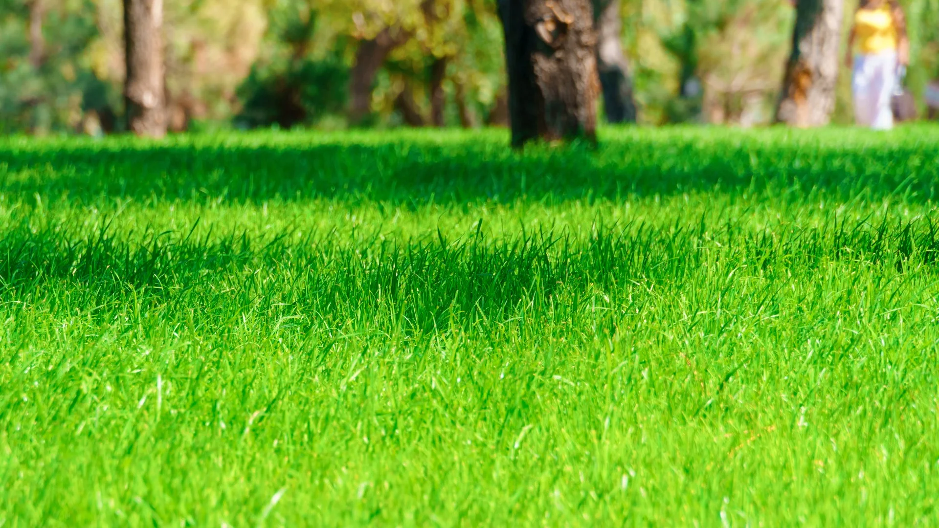 Does It Matter When You Apply the Final Fall Fertilizer Treatment?