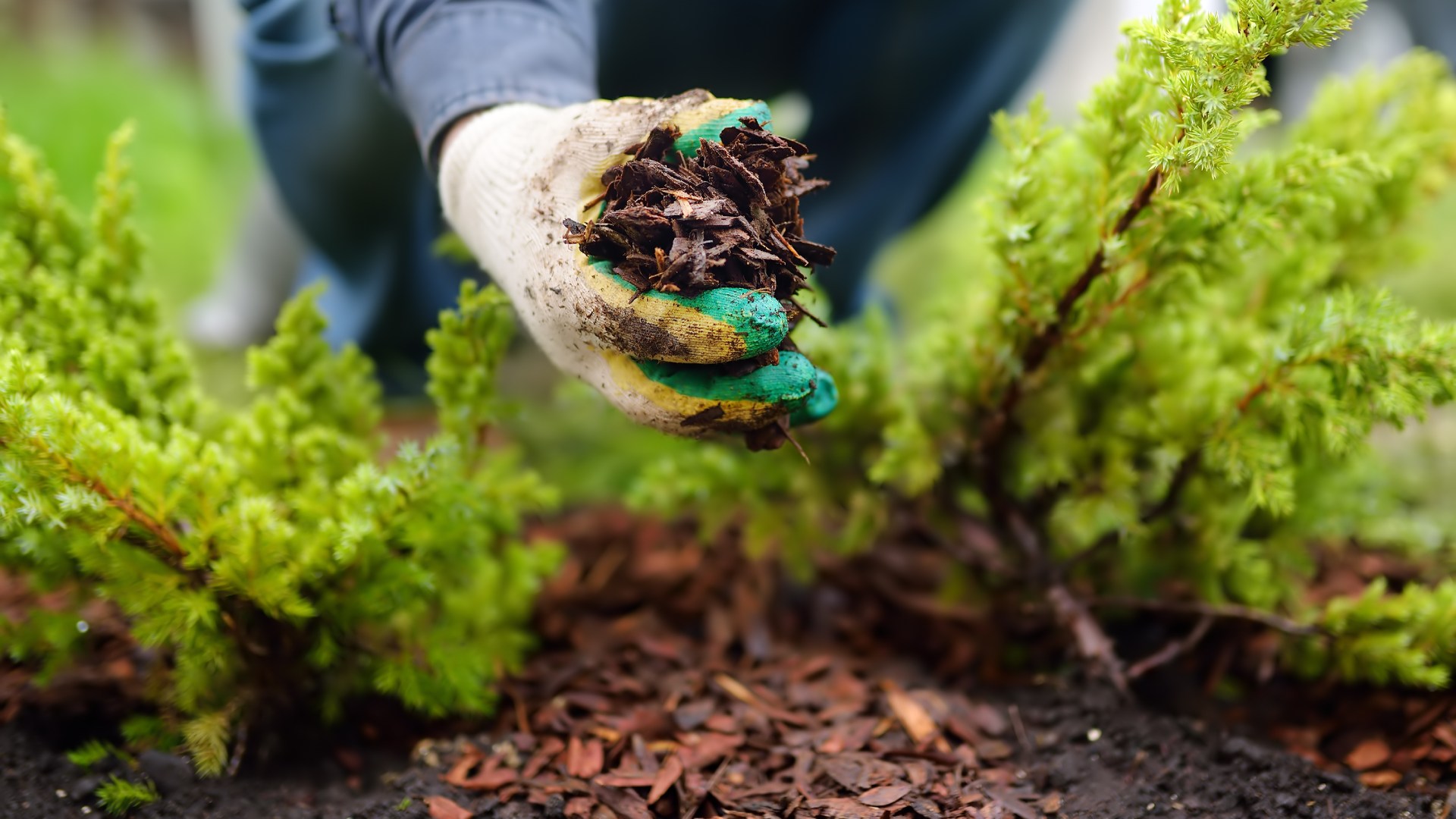 3 Great Reasons to Have Mulch Installed in Your Landscape Beds