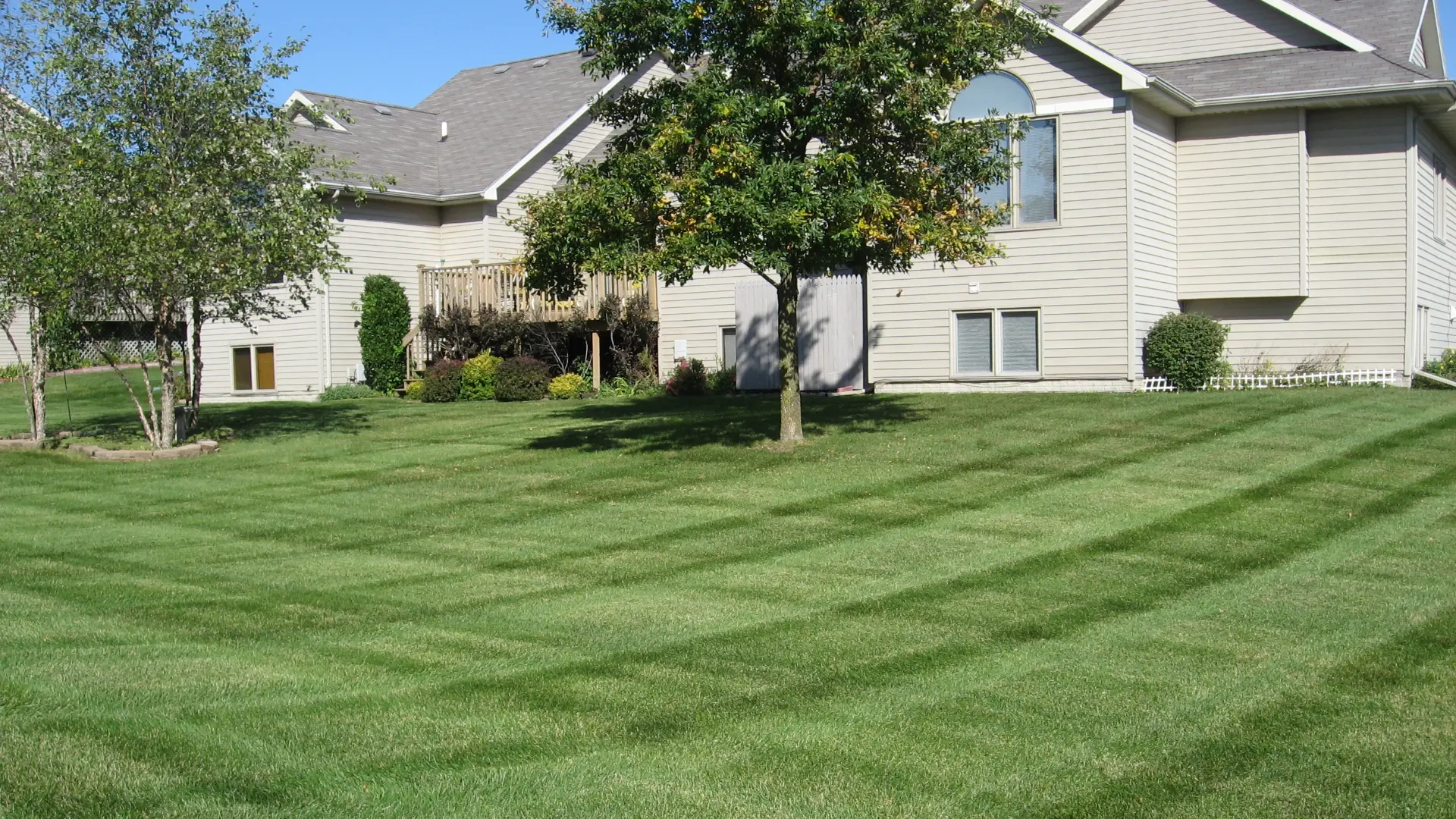 Is It Okay to Just Use Any Type of Fertilizer for Your Lawn?