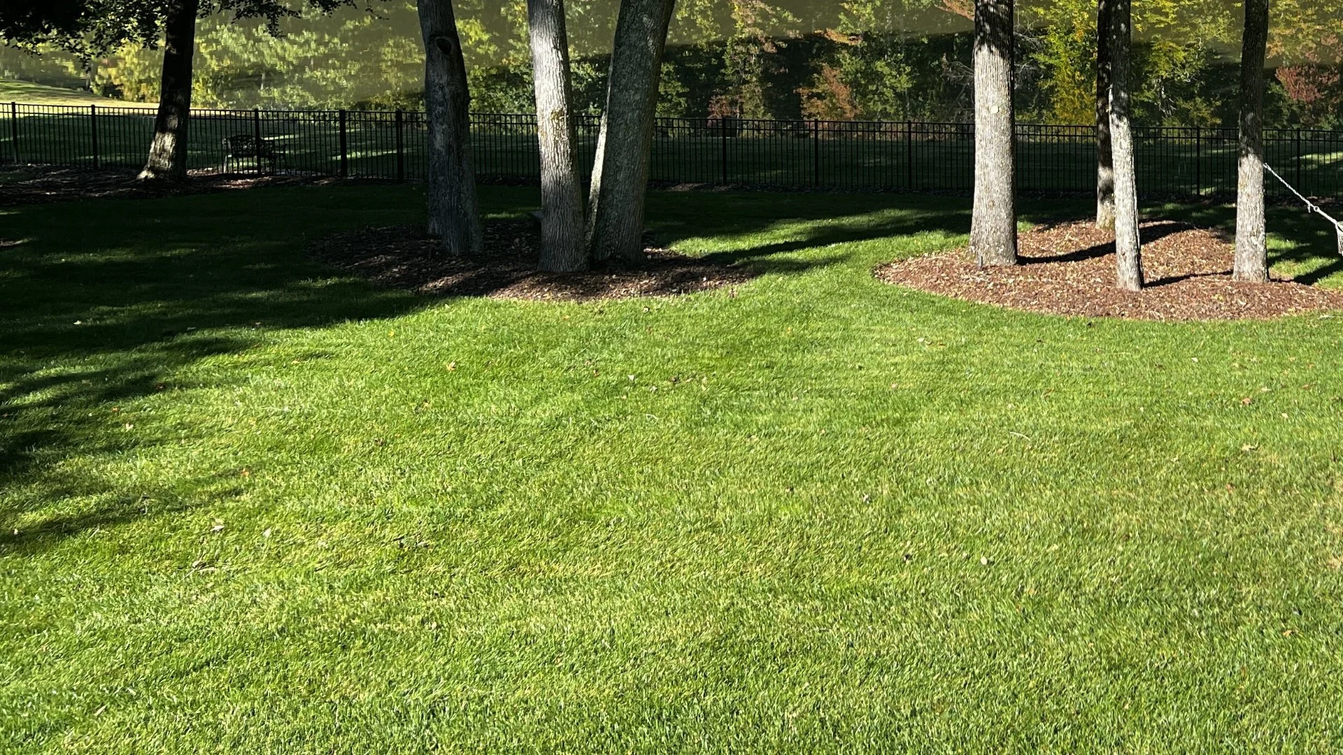 Can Overseeding Your Lawn Help Crowd Out Weeds?