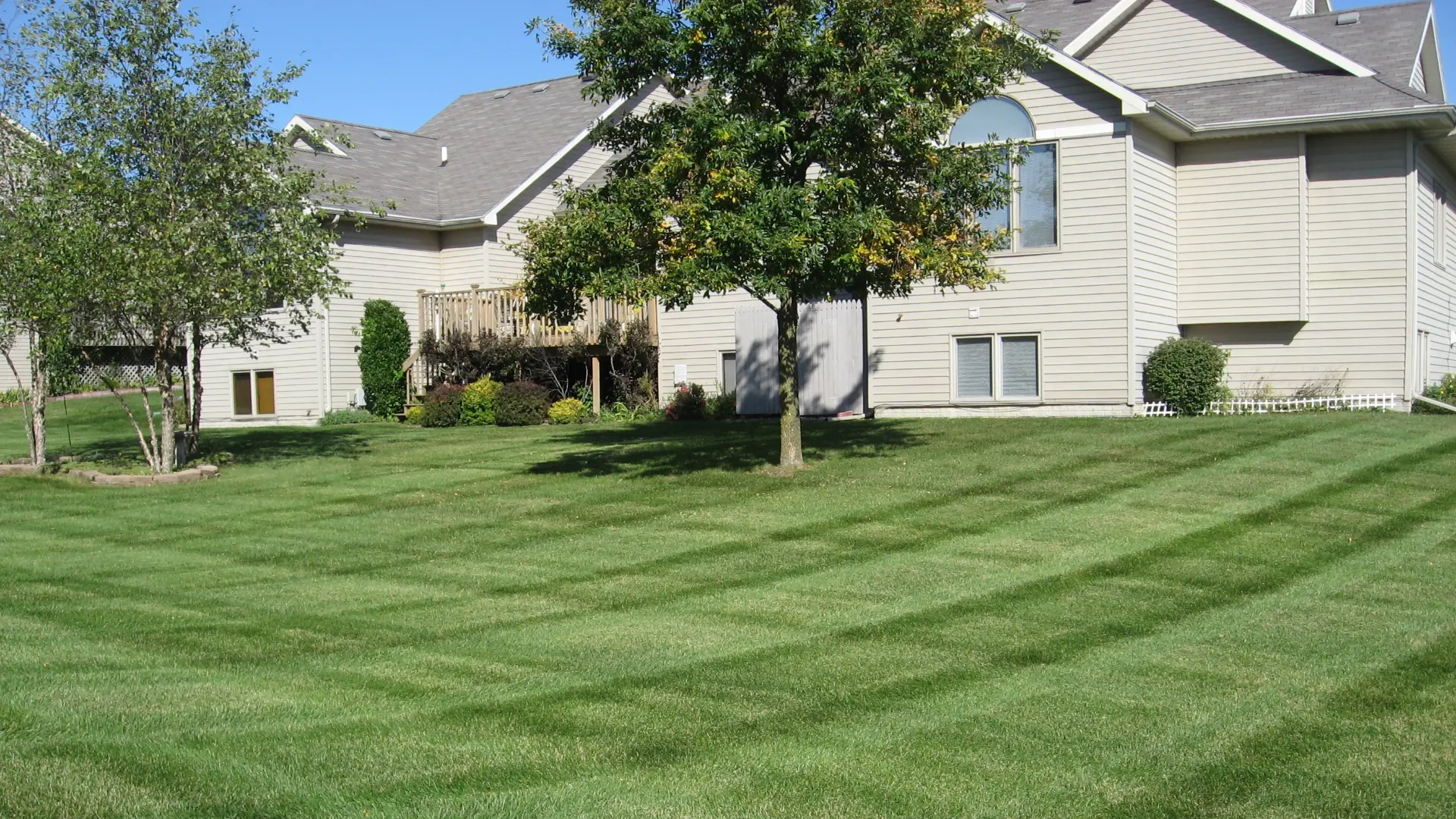How Many Times per Week Should You Be Fertilizing Your Lawn?