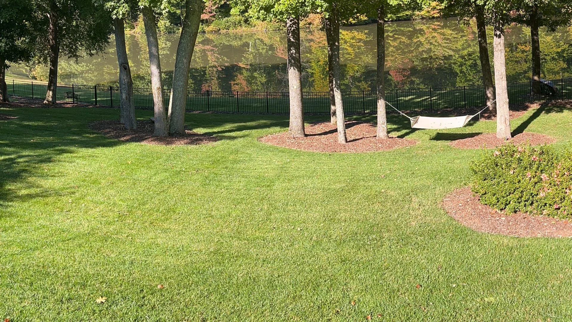 How to Identify Soil Compaction on Your Lawn & What to Do About It