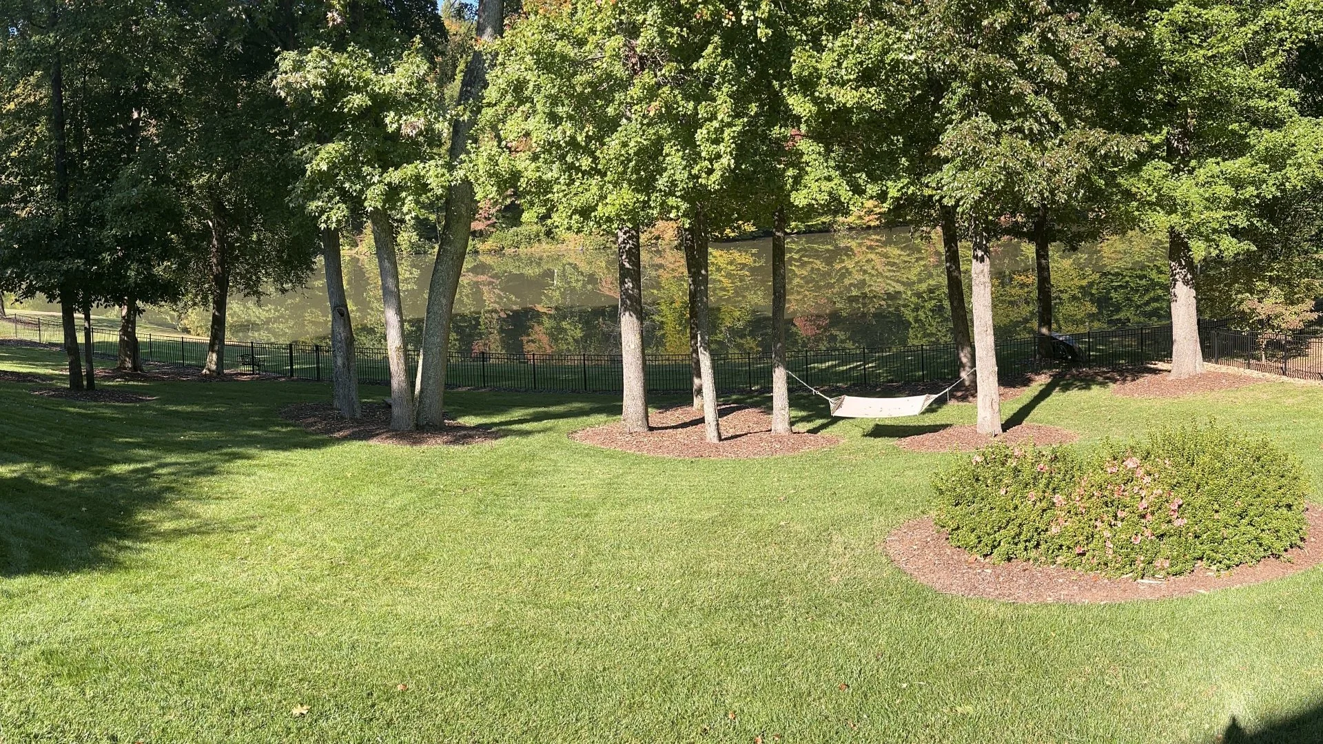 Do You Have to Eliminate Weeds Before Overseeding?