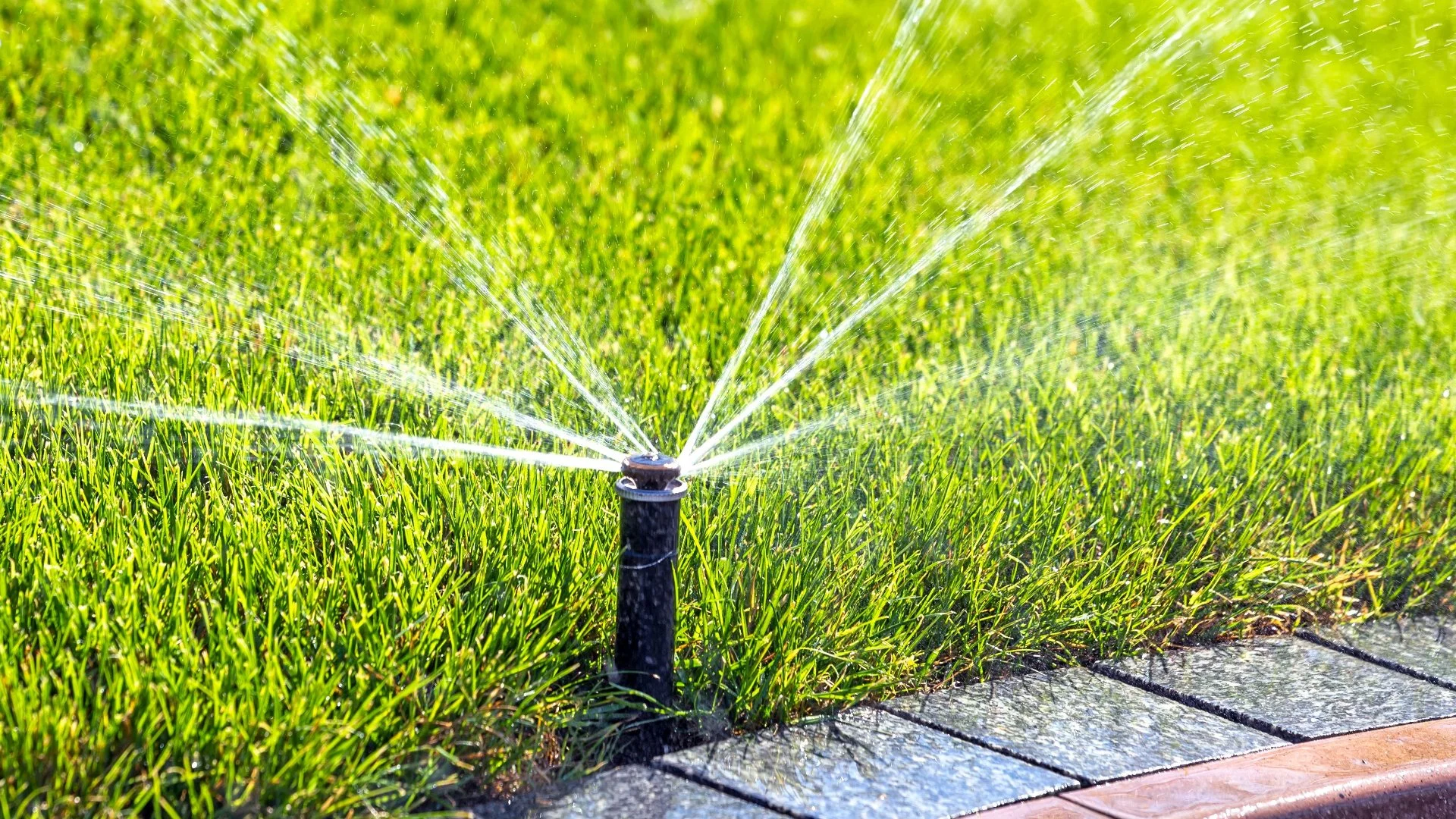 The Best Time to Schedule an Irrigation Startup Service in Iowa