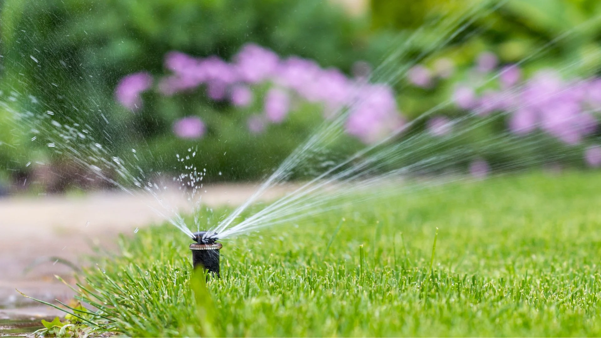 How Do Pros Start Up Your Irrigation System in the Spring?