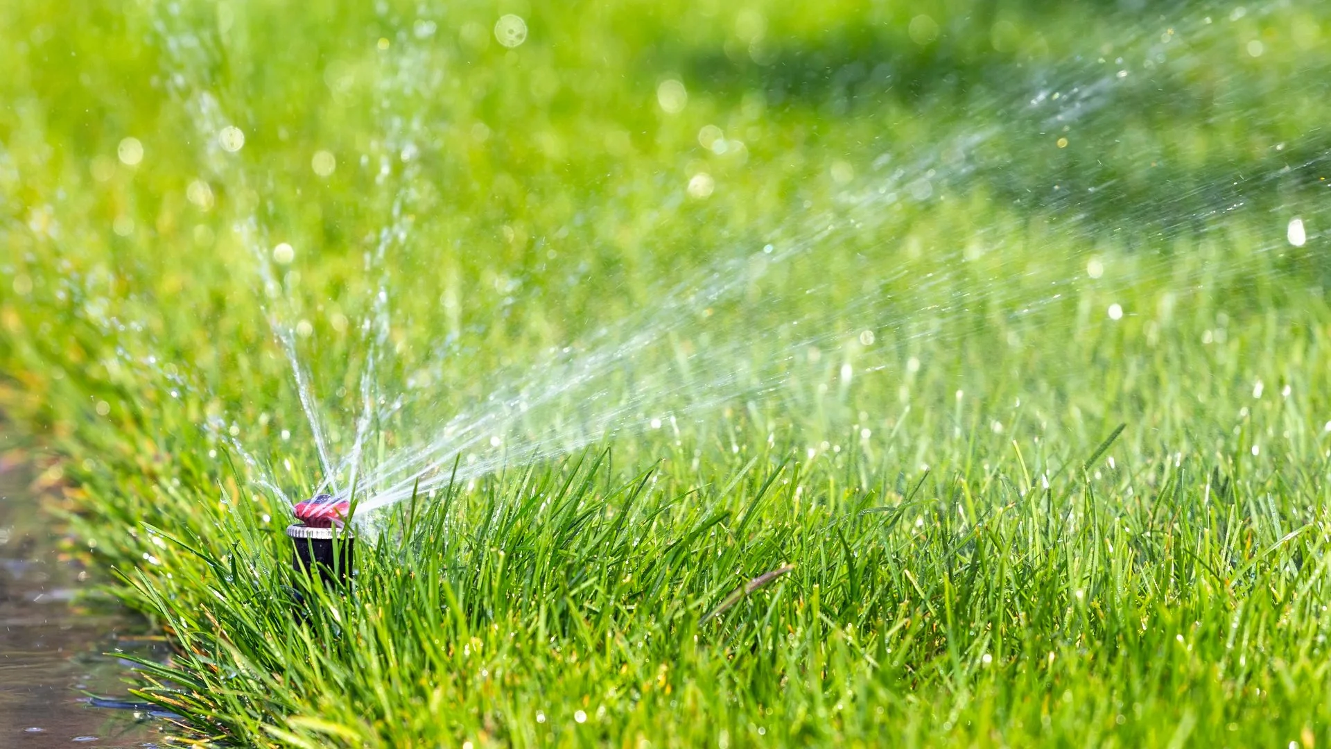 How Much Does It Cost to Have Your Irrigation System Repaired?