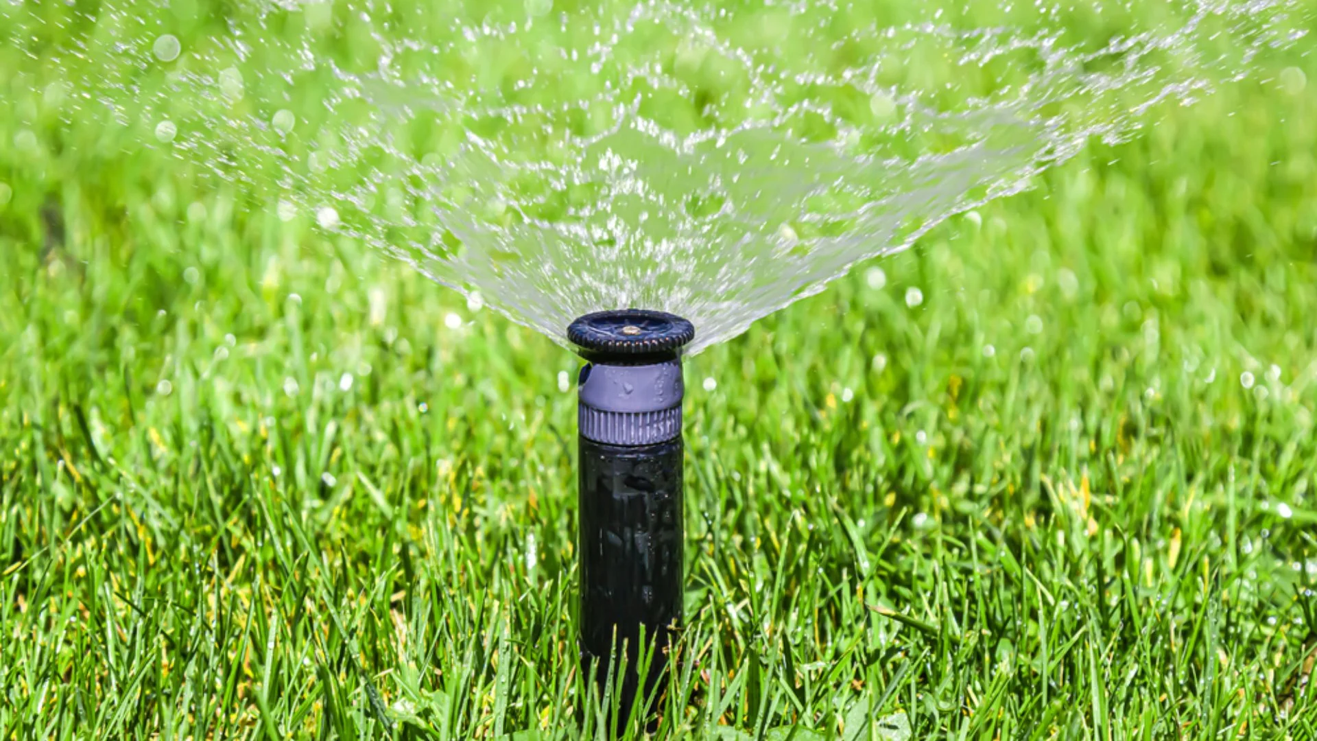 How Much Does Irrigation Cost to Install?