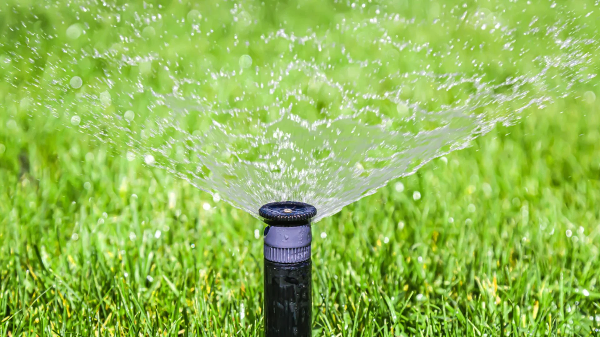 5 Things That Could Be Causing Low Water Pressure in Your Irrigation System