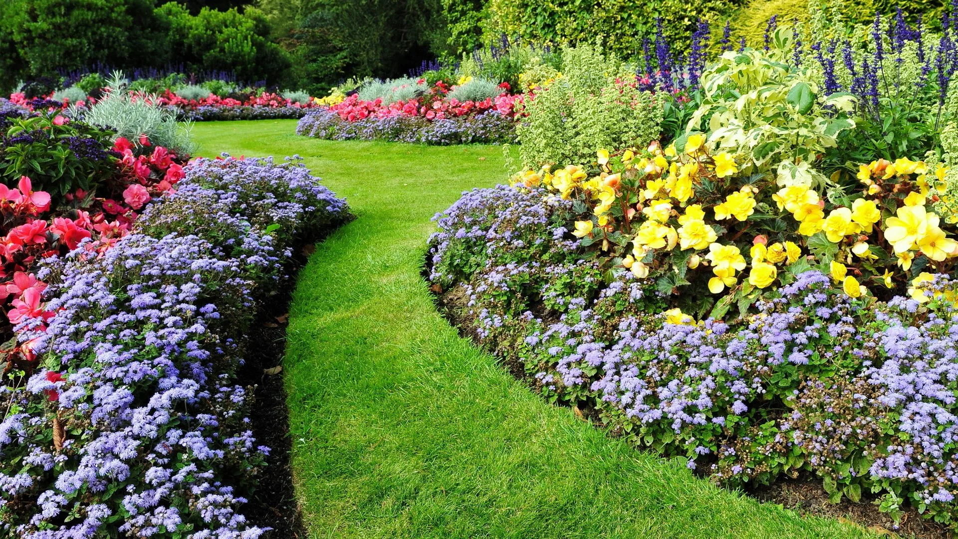 How Do You Layer the Plants in Your Landscape?
