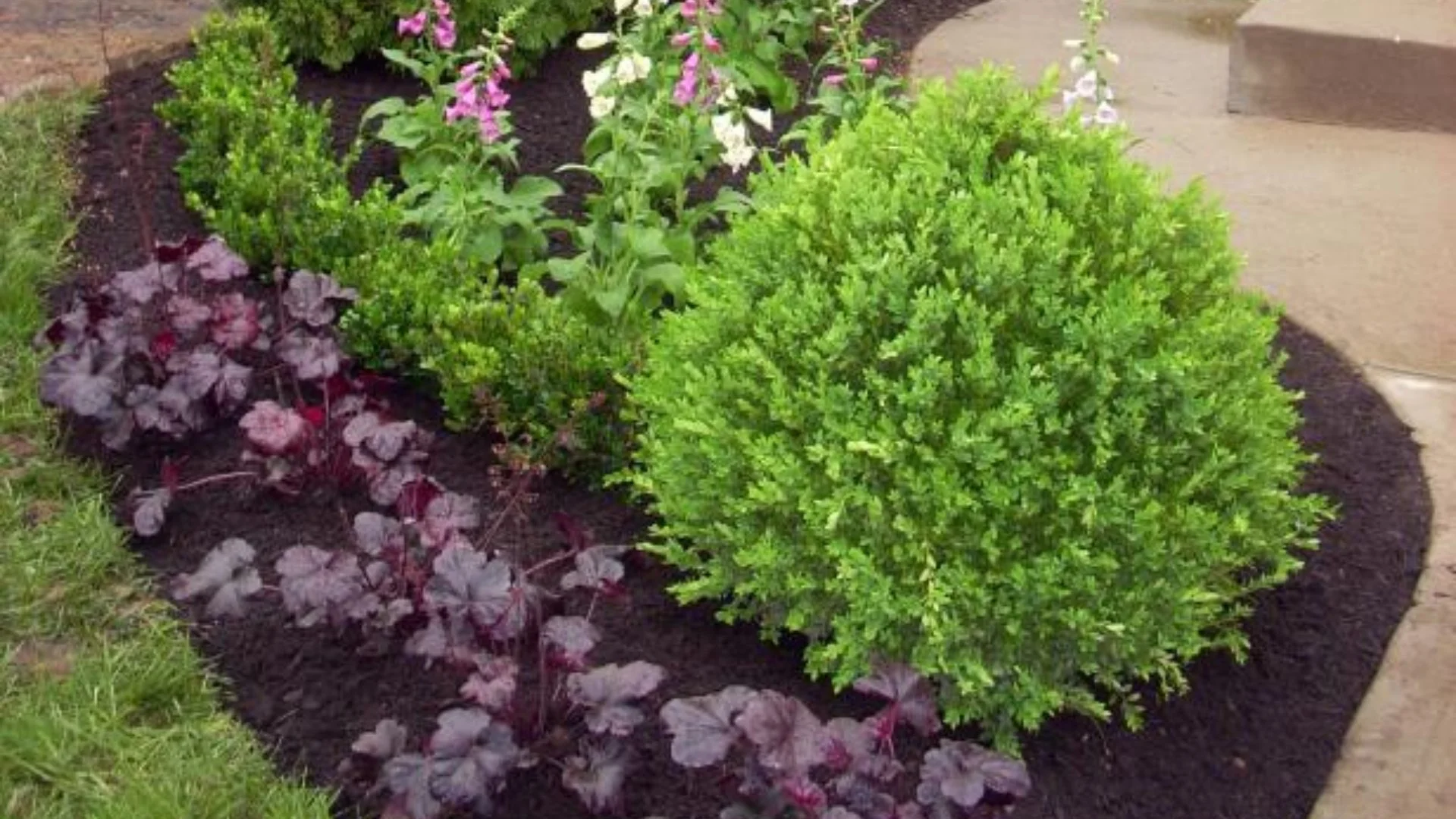 How Long Will Mulch Last in Your Landscape Beds?