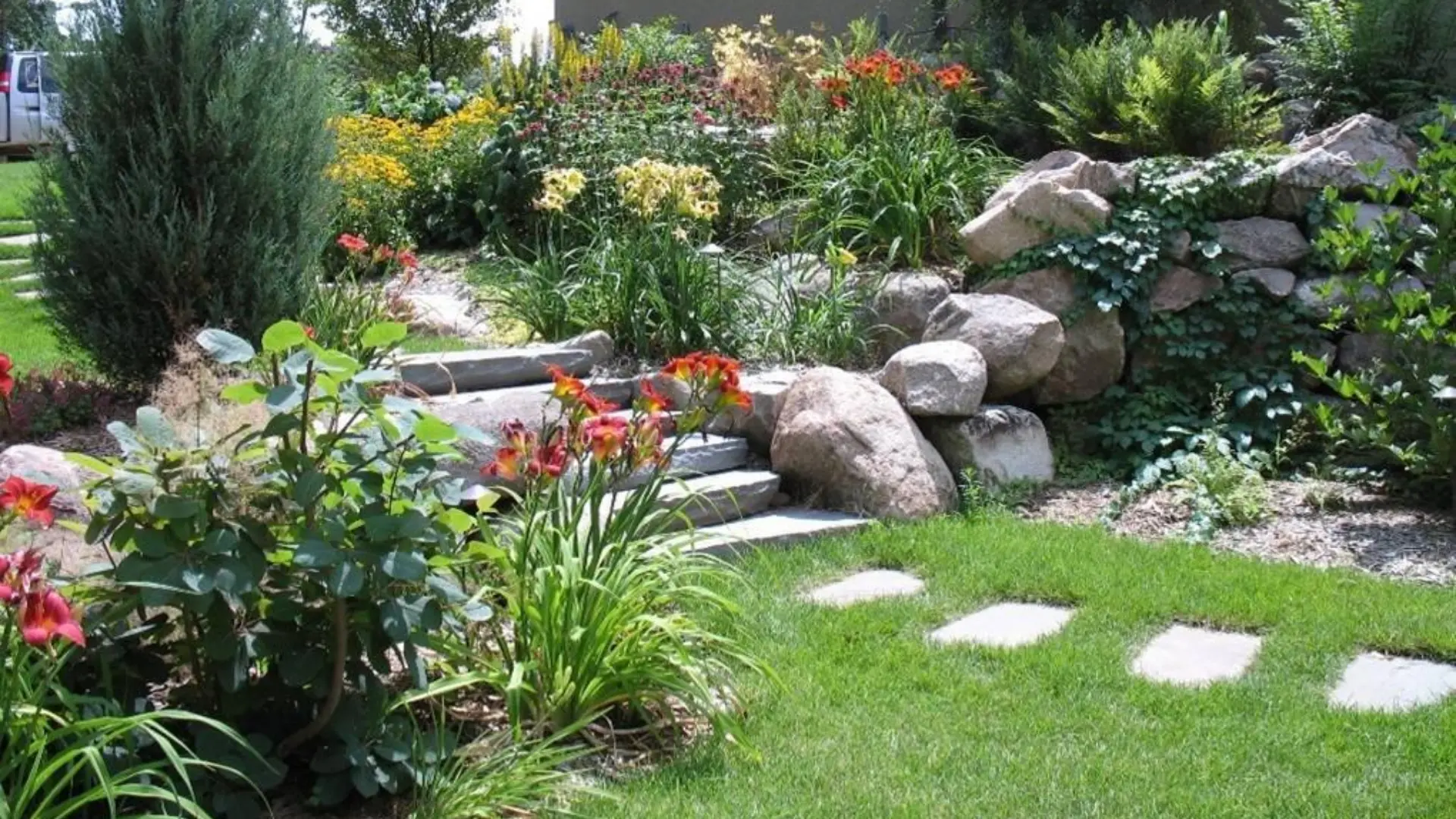 Are Native Plants Right for Your Landscape Design?