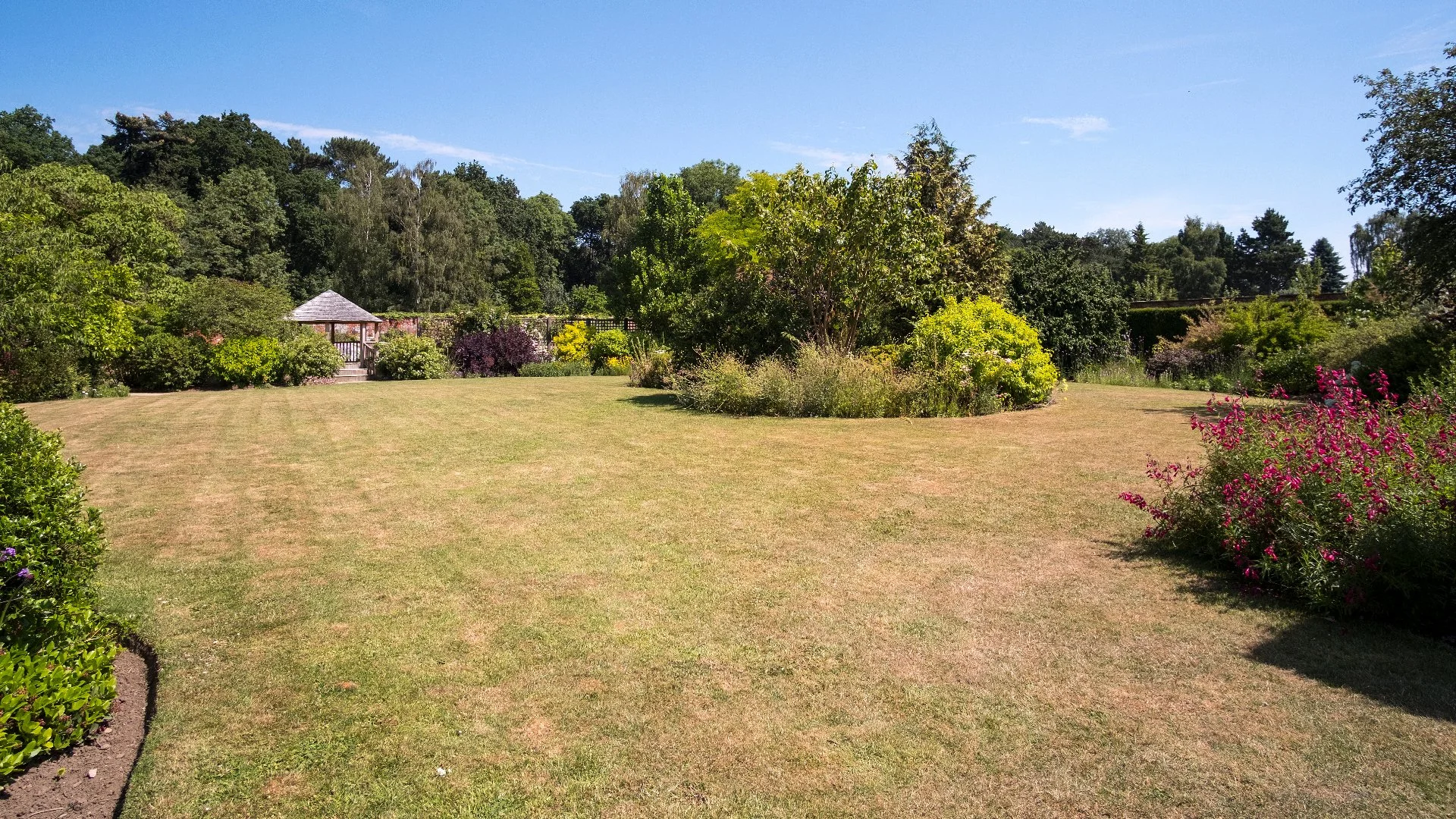 Your Lawn Turning Brown Could Be From One of These Issues!