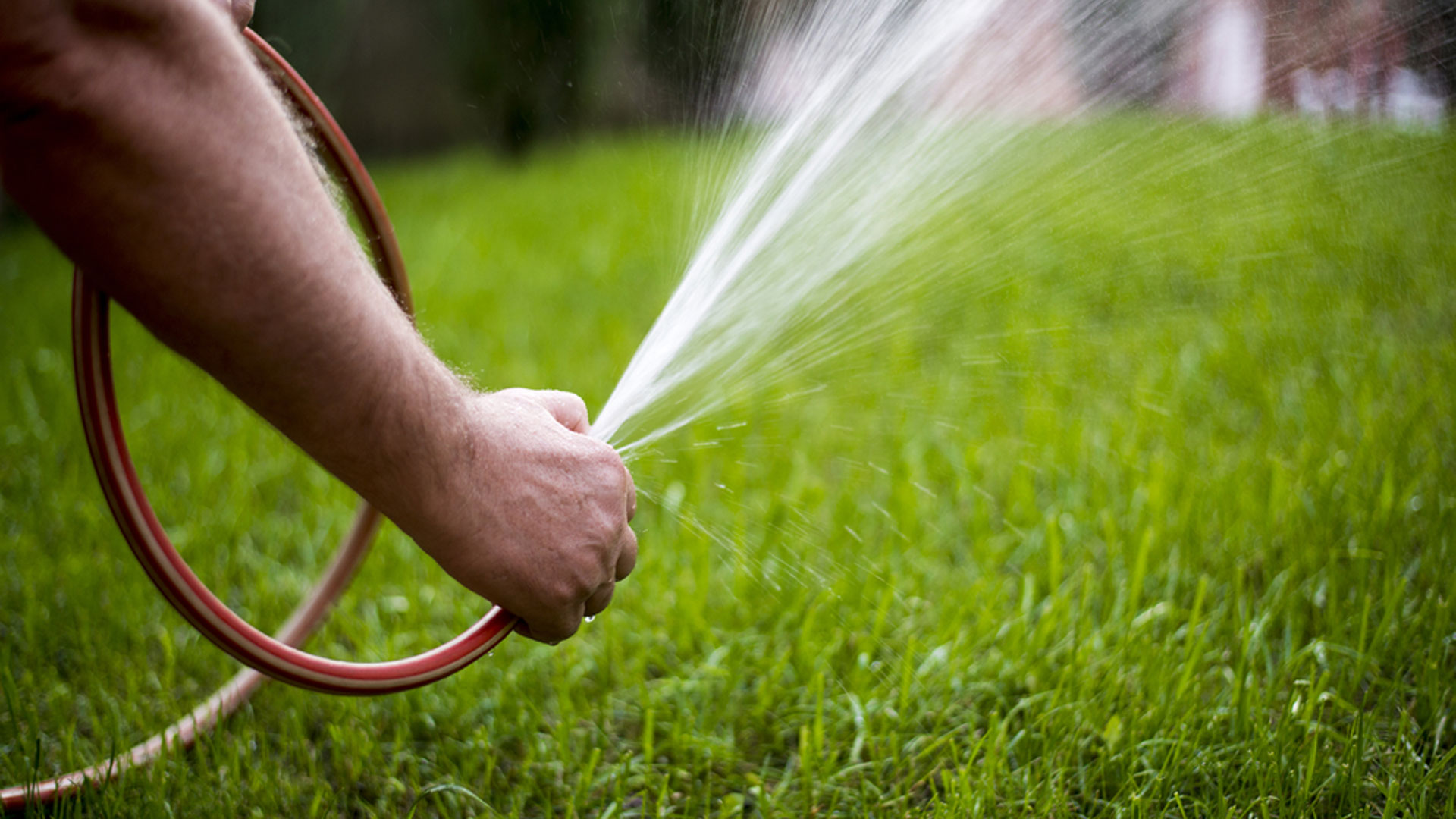 Here Is the Ideal Watering Schedule for a Newly Seeded Lawn