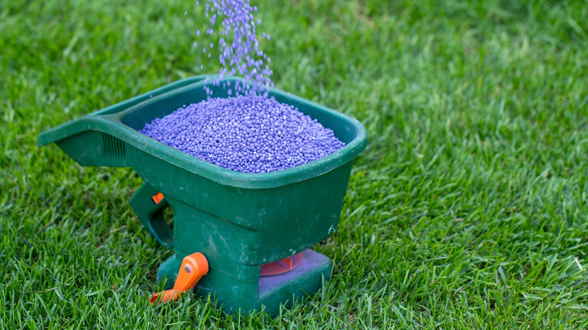 What Can Happen If You Use Too Much Fertilizer on Your Lawn?