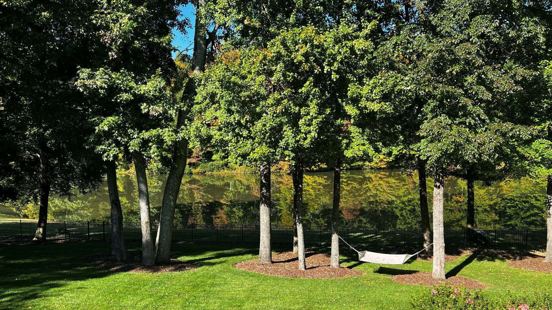 Is Dormant Oil Necessary for Trees & Shrubs?