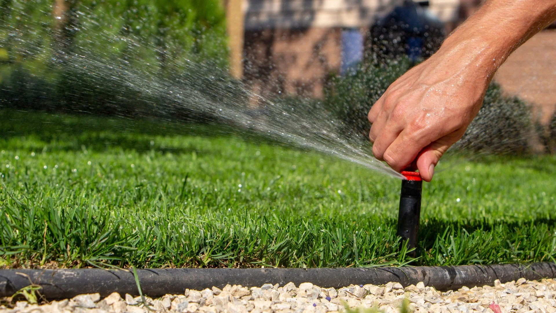 Reasons Your Irrigation System Might Not Be Working & What to Do About It!