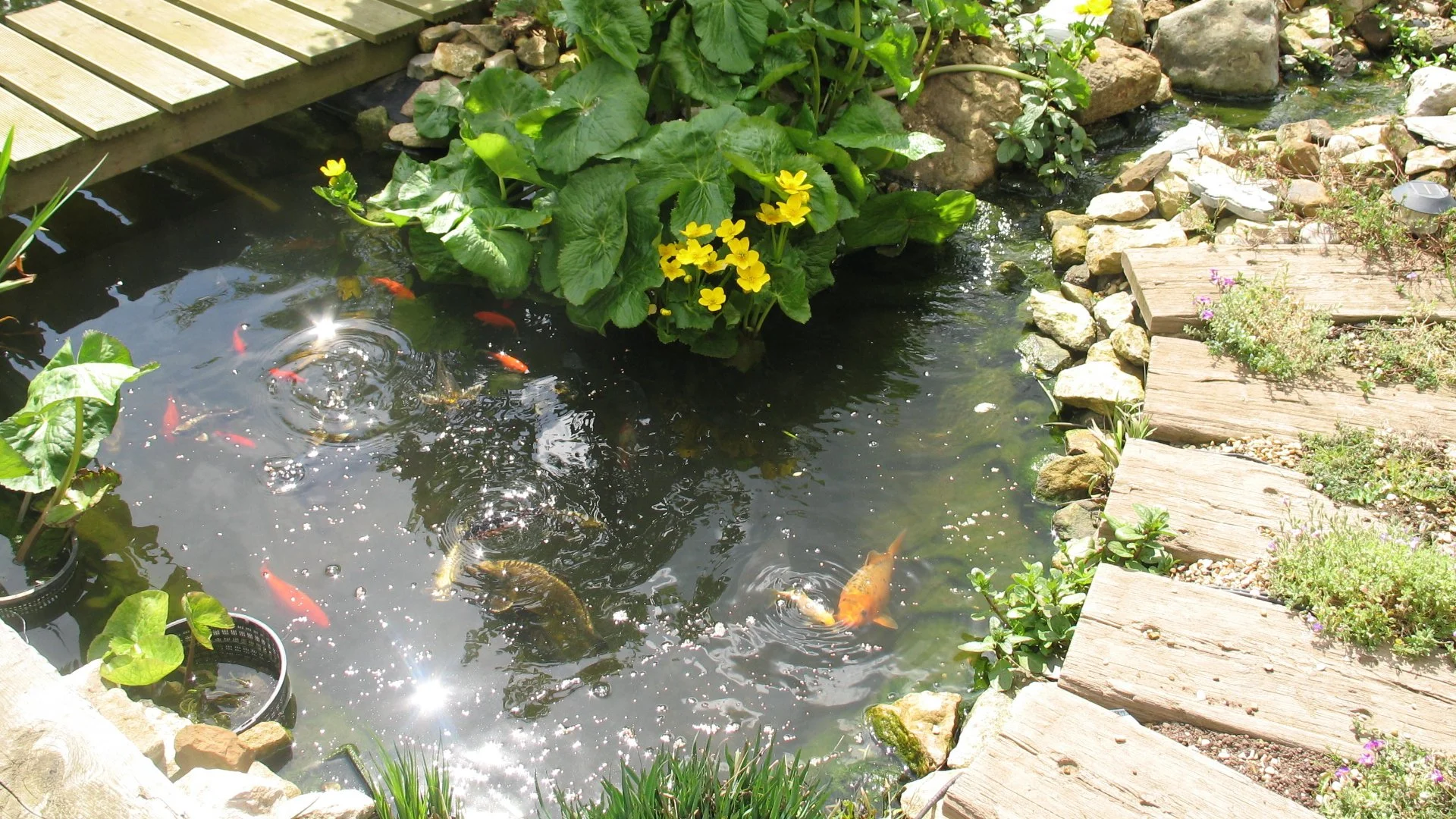A beautiful rock waterfall professionally installed by our skilled employees at a home in West Des Moines, IA.