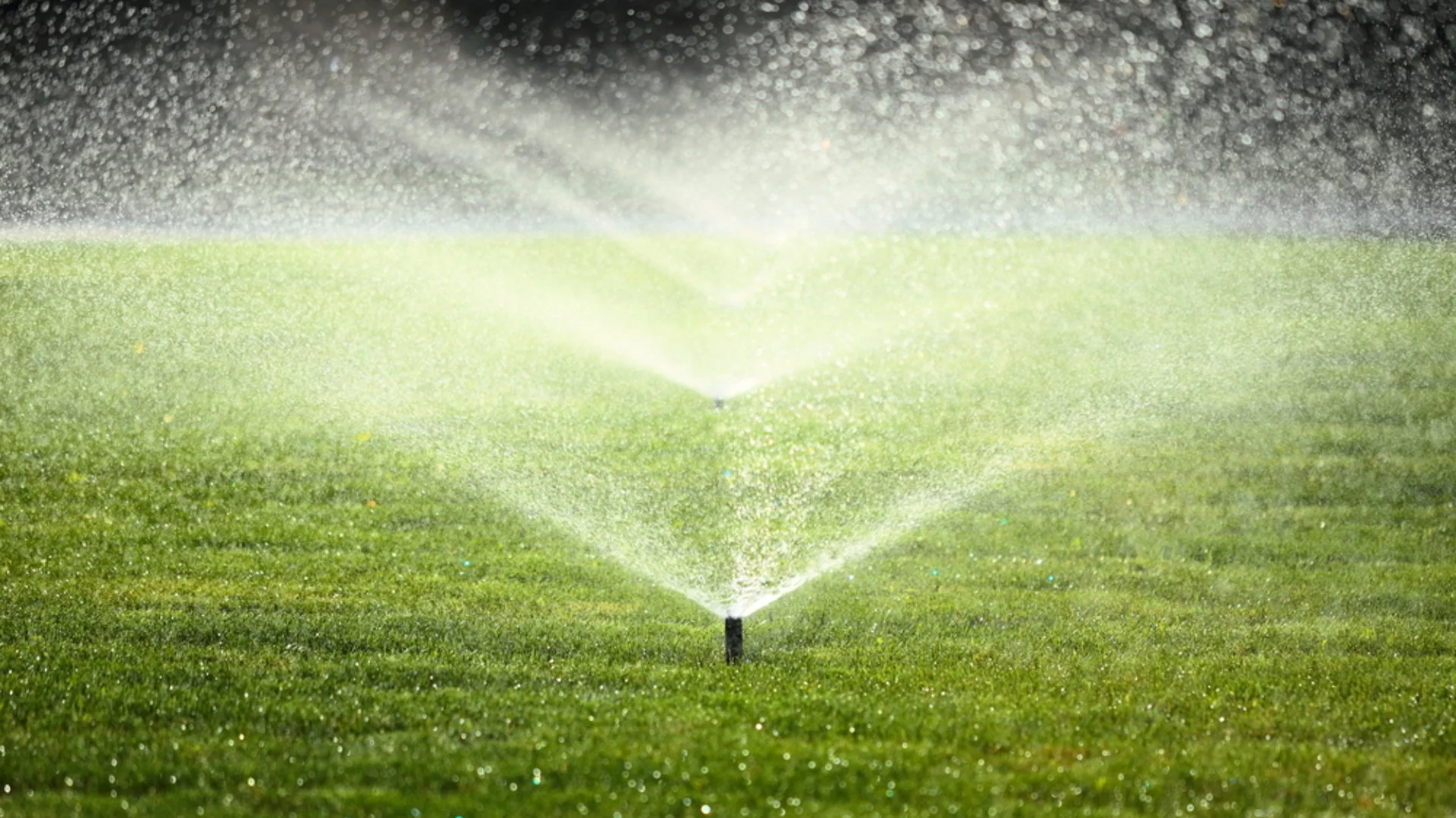 Is It Worth Installing an Irrigation System?