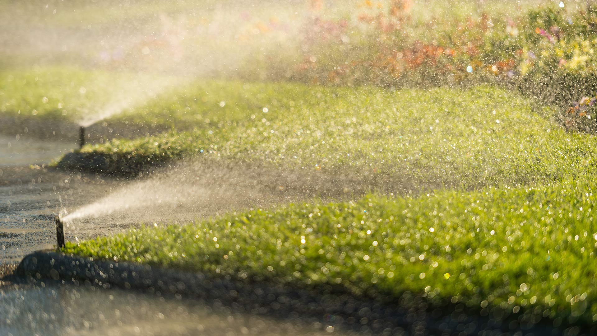 3 Reasons Why You Should Schedule Routine Irrigation Maintenance