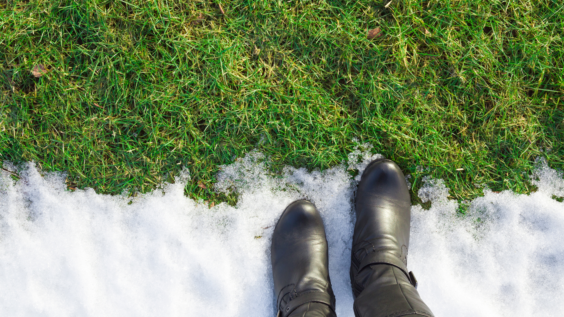 Tips for Preparing Your Lawn for Winter Dormancy