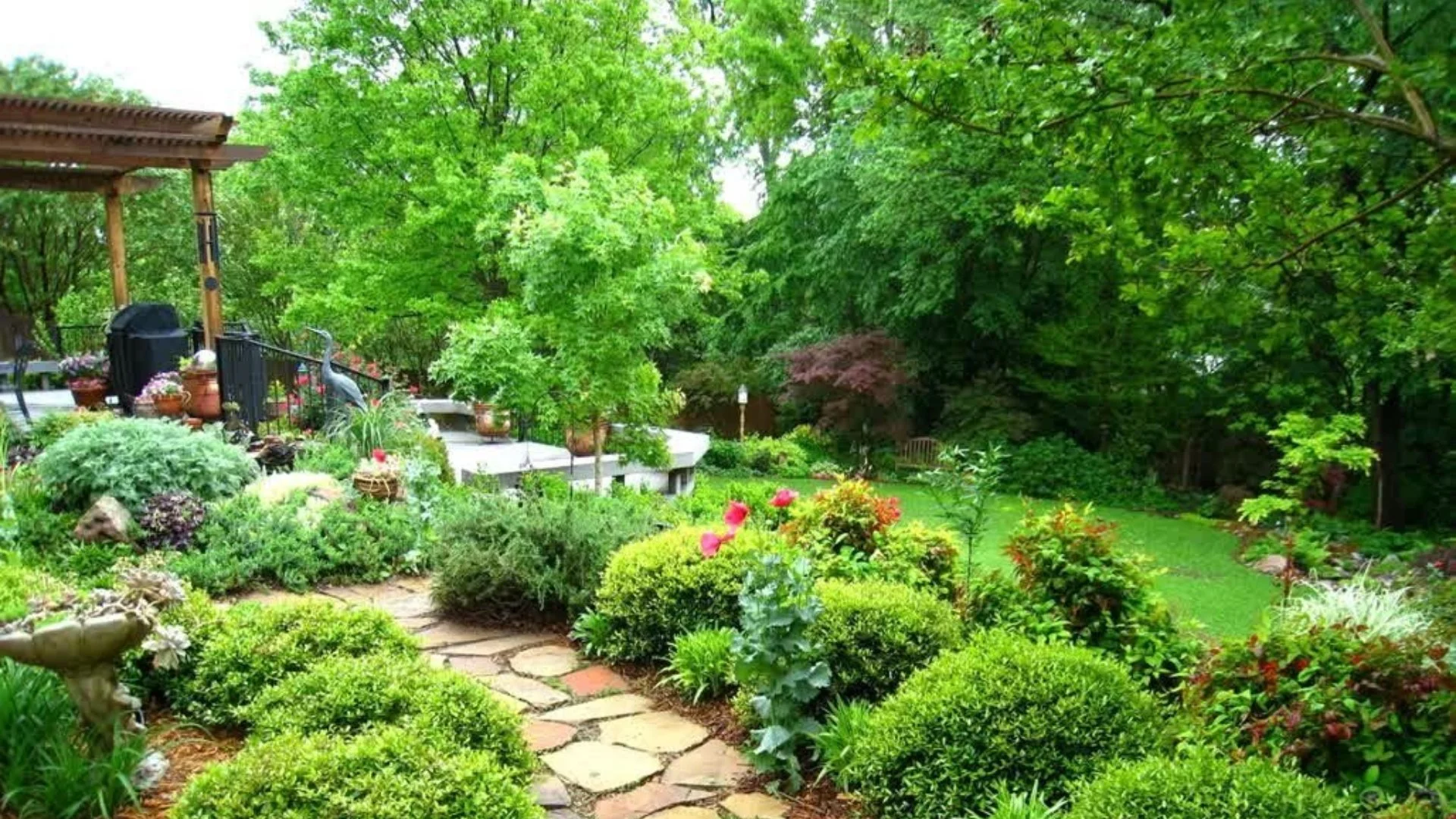 A Guide of the Tree & Shrub Insects Common in Iowa