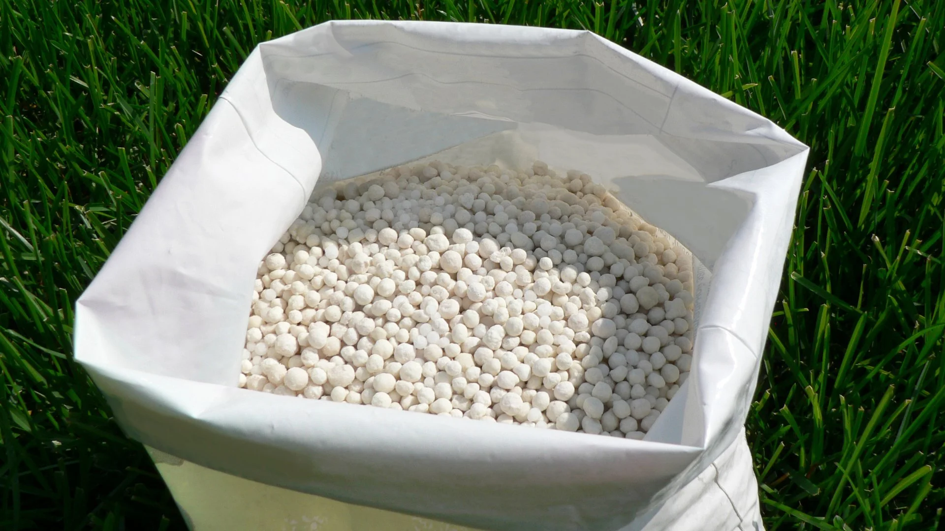 Why Is Your Grass Not Responding to Fertilizer?