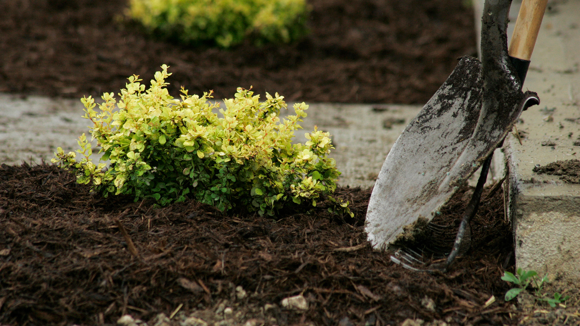 Spring Is Here & It’s Time to Replenish Your Mulch