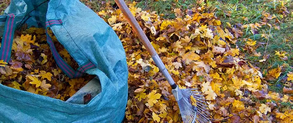 Fall leaf removal services in Des Moine, IA.