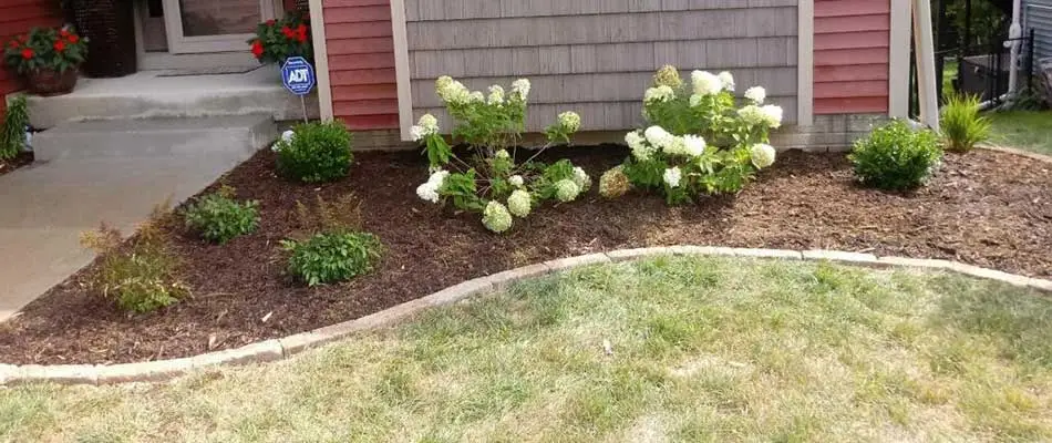 Mulch helps the soil in this West Des Moines landscaping bed retain moisture.