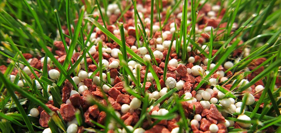 Organic Fertilizer vs. Chemical Fertilizer | A+ Lawn & Landscape Blog