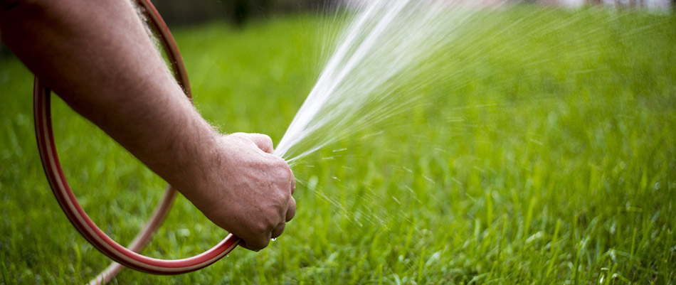 Watering Guide - Tips to Keep Your Lawn Perfectly Hydrated