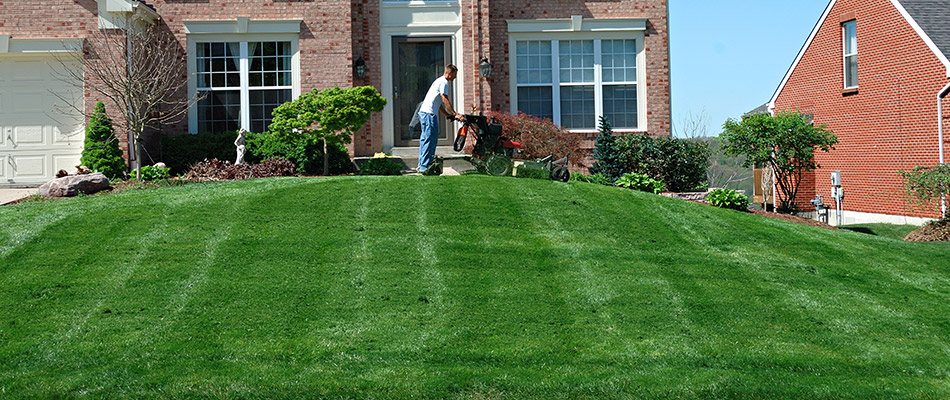 Best Lawn On The Block? Follow These 7 Steps To Achieve it