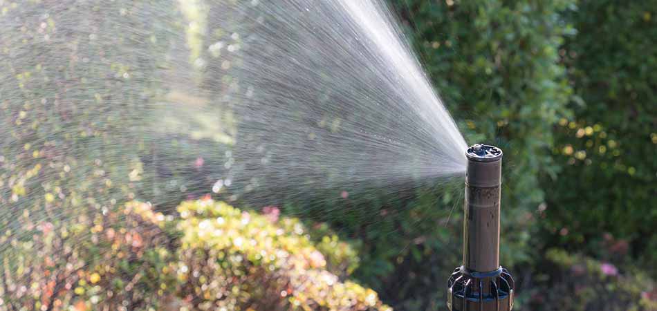 3 Reasons Watering Your Lawn with an Irrigation System is Essential