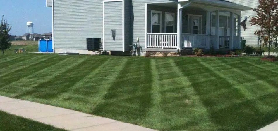 Our newest irrigation client in Des Moines has seen a vast improvement with their lawn.
