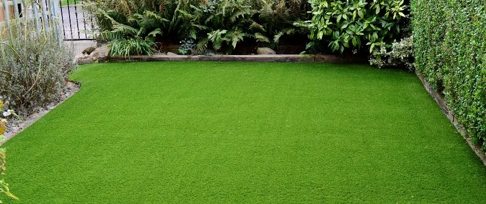 Artificial turf as replacement for a lawn in Des Moines, IA.