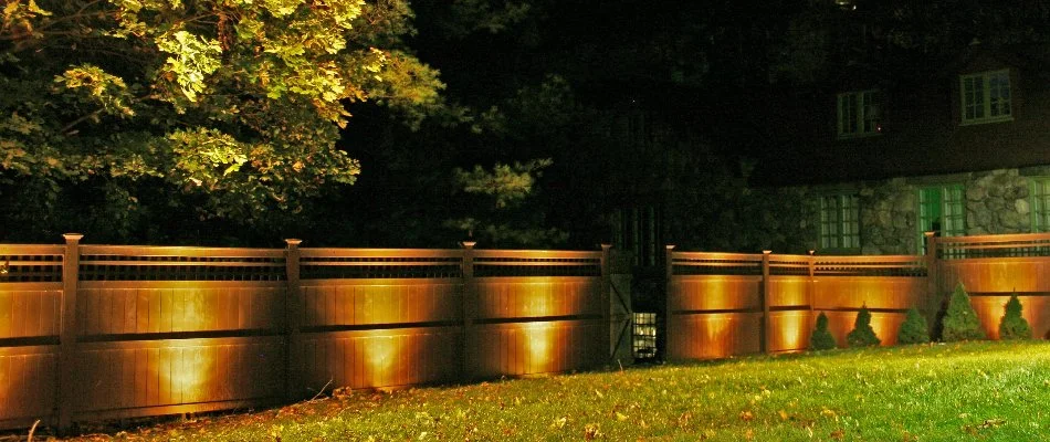 Tree and fencing in a backyard in Des Moines, IA, with landscape lighting.