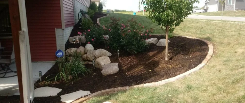 Brown mulch on a landscape in Des Moines, IA, with plants and rocks.