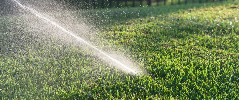 Grass and sprinkler head in Des Moines, IA.